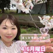 ヒメ日記 2026/04/05 19:15 投稿 みその 西船人妻花壇