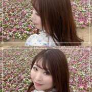 ヒメ日記 2026/04/13 22:42 投稿 みその 西船人妻花壇