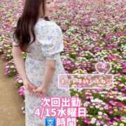 ヒメ日記 2026/04/14 08:44 投稿 みその 西船人妻花壇