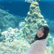 ヒメ日記 2026/04/17 22:54 投稿 みその 西船人妻花壇