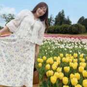 ヒメ日記 2026/04/20 15:35 投稿 みその 西船人妻花壇