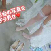 ヒメ日記 2026/04/25 15:49 投稿 みその 西船人妻花壇