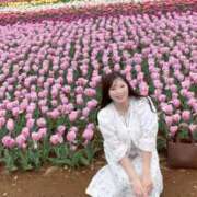 ヒメ日記 2026/04/27 22:37 投稿 みその 西船人妻花壇