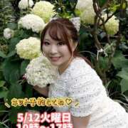 ヒメ日記 2026/05/12 07:14 投稿 みその 西船人妻花壇