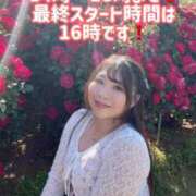 ヒメ日記 2026/05/19 10:48 投稿 みその 西船人妻花壇
