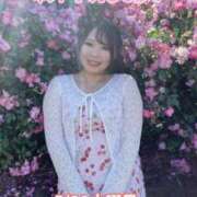 ヒメ日記 2026/05/20 07:06 投稿 みその 西船人妻花壇