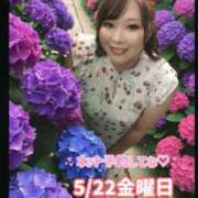 ヒメ日記 2026/05/20 23:04 投稿 みその 西船人妻花壇