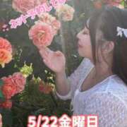 ヒメ日記 2026/05/21 09:23 投稿 みその 西船人妻花壇