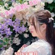 ヒメ日記 2026/05/25 16:39 投稿 みその 西船人妻花壇