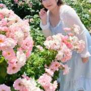 ヒメ日記 2026/05/25 22:25 投稿 みその 西船人妻花壇