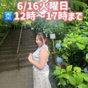 みその 明月院ブルー🩵 西船人妻花壇