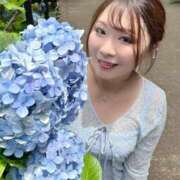 ヒメ日記 2026/06/23 11:50 投稿 みその 西船人妻花壇
