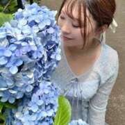 ヒメ日記 2026/07/04 08:34 投稿 みその 西船人妻花壇
