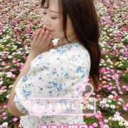 ヒメ日記 2026/07/07 16:17 投稿 みその 西船人妻花壇