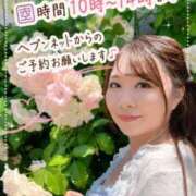 ヒメ日記 2026/07/09 08:20 投稿 みその 西船人妻花壇