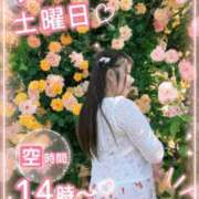 ヒメ日記 2026/07/09 21:37 投稿 みその 西船人妻花壇