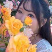 ヒメ日記 2026/07/09 23:18 投稿 みその 西船人妻花壇