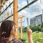 ヒメ日記 2026/07/13 15:49 投稿 みその 西船人妻花壇