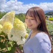 ヒメ日記 2026/08/21 06:51 投稿 みその 西船人妻花壇