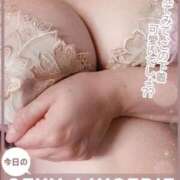 ヒメ日記 2026/06/13 14:31 投稿 じゅり 西船人妻花壇