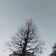 ヒメ日記 2024/12/07 11:13 投稿 おうか 西船人妻花壇