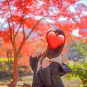 ヒメ日記 2024/12/20 13:37 投稿 おうか 西船人妻花壇