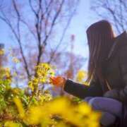 ヒメ日記 2024/12/22 05:58 投稿 おうか 西船人妻花壇