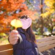 ヒメ日記 2024/12/23 06:50 投稿 おうか 西船人妻花壇