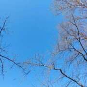 ヒメ日記 2025/02/01 17:01 投稿 おうか 西船人妻花壇