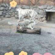 ヒメ日記 2025/02/02 18:31 投稿 おうか 西船人妻花壇