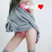 ヒメ日記 2025/02/05 06:17 投稿 おうか 西船人妻花壇