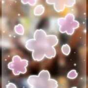 ヒメ日記 2025/02/19 13:03 投稿 おうか 西船人妻花壇