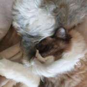 ヒメ日記 2025/02/24 08:08 投稿 おうか 西船人妻花壇