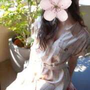 ヒメ日記 2025/03/14 08:31 投稿 おうか 西船人妻花壇