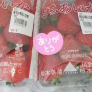 ヒメ日記 2025/03/28 19:45 投稿 おうか 西船人妻花壇