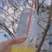 ヒメ日記 2025/03/31 11:02 投稿 おうか 西船人妻花壇