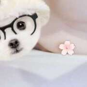 ヒメ日記 2025/04/05 16:02 投稿 おうか 西船人妻花壇