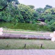 ヒメ日記 2025/05/12 09:45 投稿 おうか 西船人妻花壇