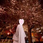 ヒメ日記 2025/06/12 17:30 投稿 おうか 西船人妻花壇