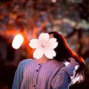 ヒメ日記 2025/06/27 08:05 投稿 おうか 西船人妻花壇