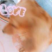 ヒメ日記 2025/07/01 20:09 投稿 おうか 西船人妻花壇