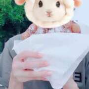 ヒメ日記 2025/08/07 21:33 投稿 おうか 西船人妻花壇