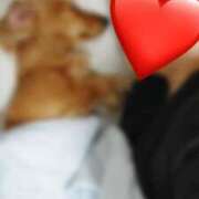 ヒメ日記 2025/08/23 07:36 投稿 おうか 西船人妻花壇