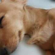 ヒメ日記 2025/08/23 08:34 投稿 おうか 西船人妻花壇