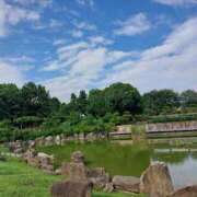 ヒメ日記 2025/08/26 01:03 投稿 おうか 西船人妻花壇