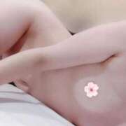 ヒメ日記 2025/09/11 07:30 投稿 おうか 西船人妻花壇