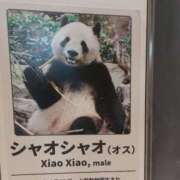 ヒメ日記 2025/09/24 18:47 投稿 おうか 西船人妻花壇