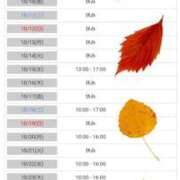 ヒメ日記 2025/10/04 15:07 投稿 おうか 西船人妻花壇