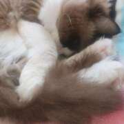 ヒメ日記 2025/10/08 07:35 投稿 おうか 西船人妻花壇