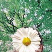 ヒメ日記 2025/10/10 17:35 投稿 おうか 西船人妻花壇